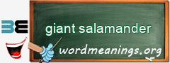 WordMeaning blackboard for giant salamander